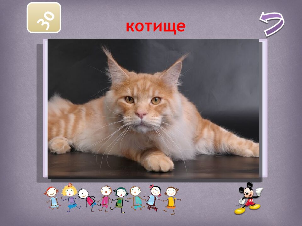 Русский ЯЗЫК ЛИТЕРАТУРА писатели и их произведения Абрамов Евгений 5Б класс