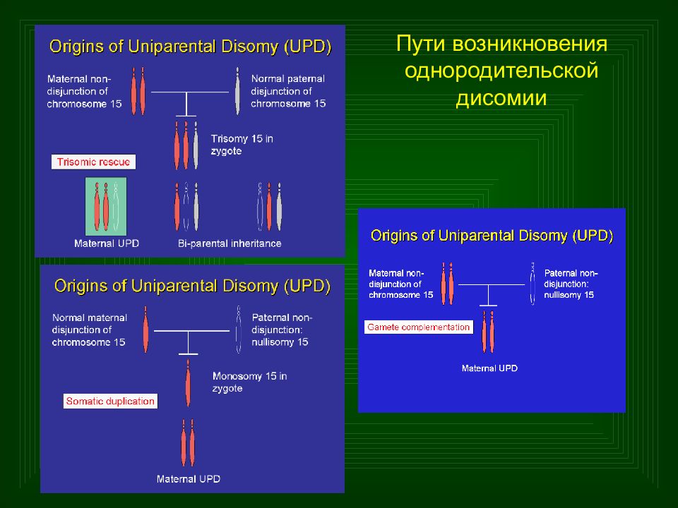 Болезни импринтинга