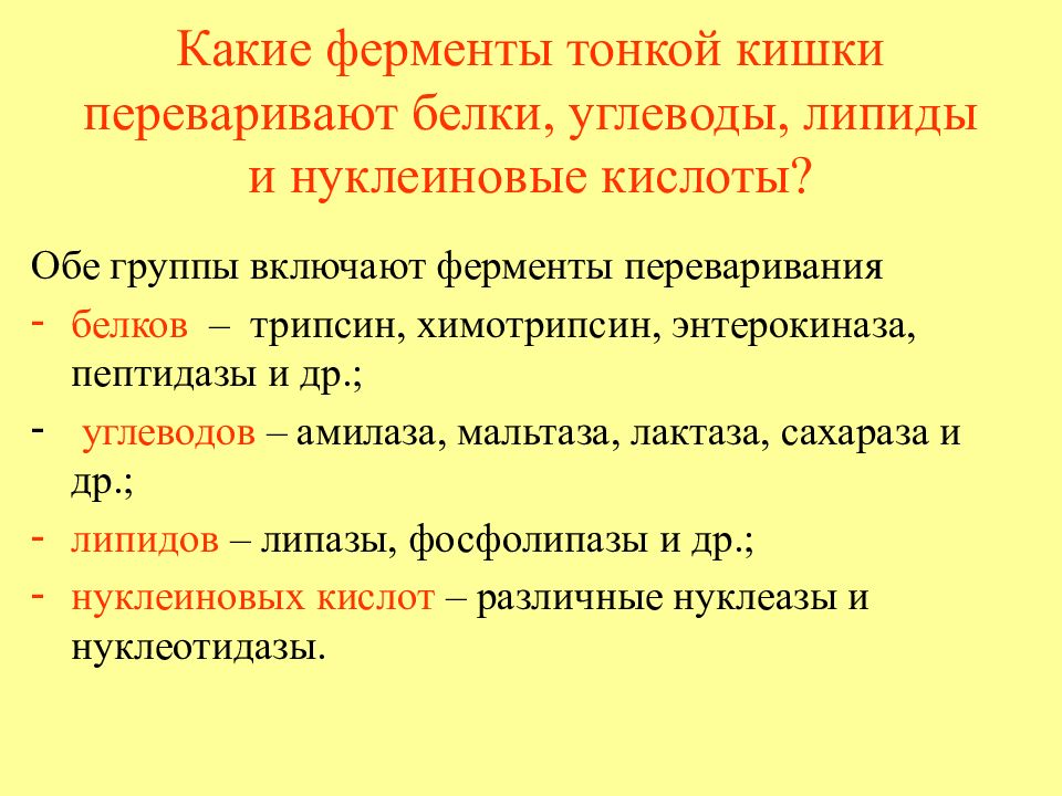 Пищеварительные ферменты. Ферменты кишечного сока. Ферменты в кишечнике участвующие в переваривании. Ферменты расщепляющие жиры. Ферменты тонкого кишечника.