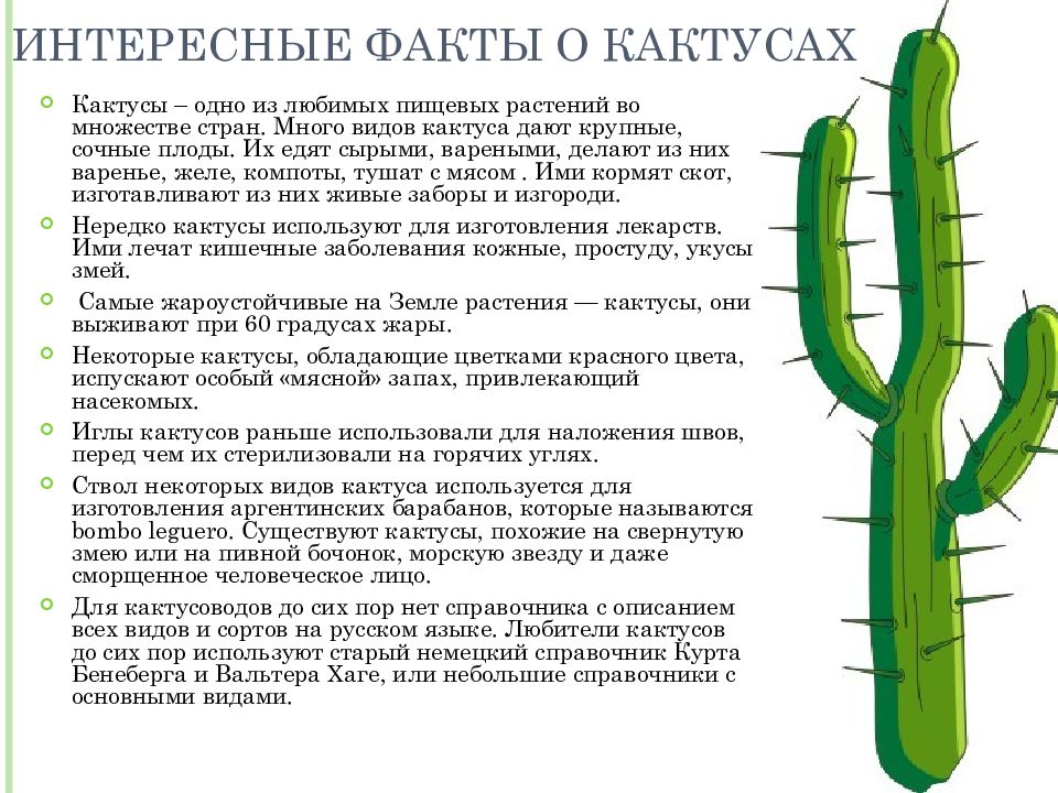 Презентация кактус 2 класс