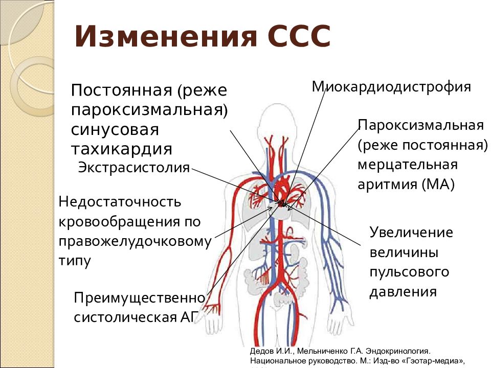 спазм периферических сосудов. сердечно сосудистая система тахикардия. изменение сердечно сосудистой системы. перебои ритма сердца. аритмия сердца фото.