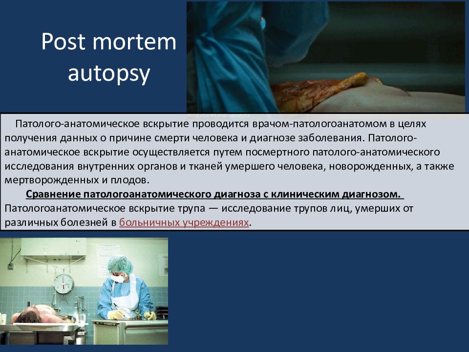 Судебный патологоанатом. Презентация на тему профессия патологоанатом. Патологоанатом профессия. Патологоанатом для презентации. Презентация врач патологоанатом.