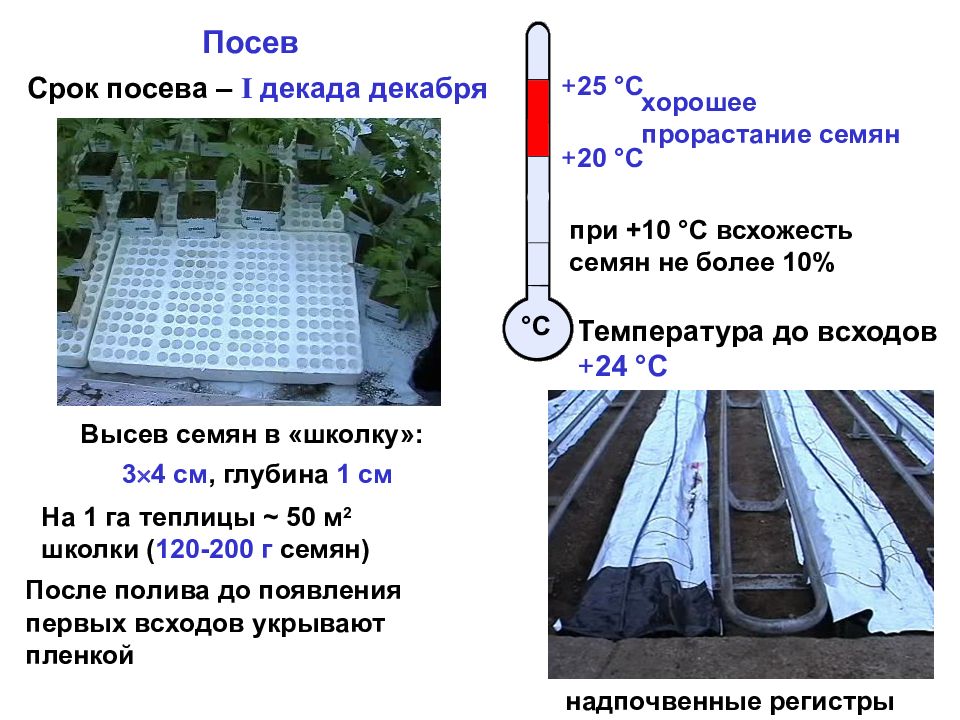 Весы 1 декада. Посев на школку это как. 1 Гектар земли теплица? Ответы.