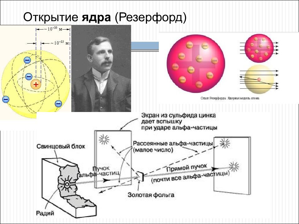 Открытие ядра ученый