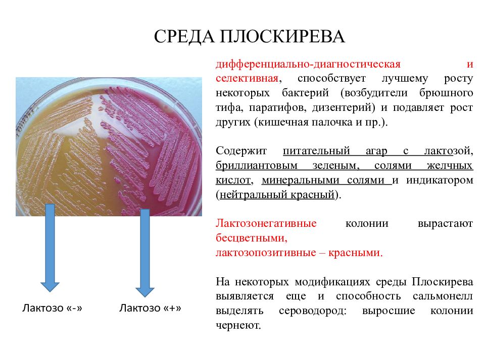 Добавь сред. Среда Плоскирева принцип действия. Среда Плоскирева состав среды. Среды Эндо Левина Плоскирева. Питательная среда Плоскирева.