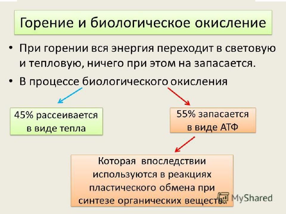 Биологическое окисление. Сравнение горения и биологического окисления таблица. Биологическое окисление и горение. Биологическое окисление и горение сходство и различие. Сходство биологического окисления и горения.