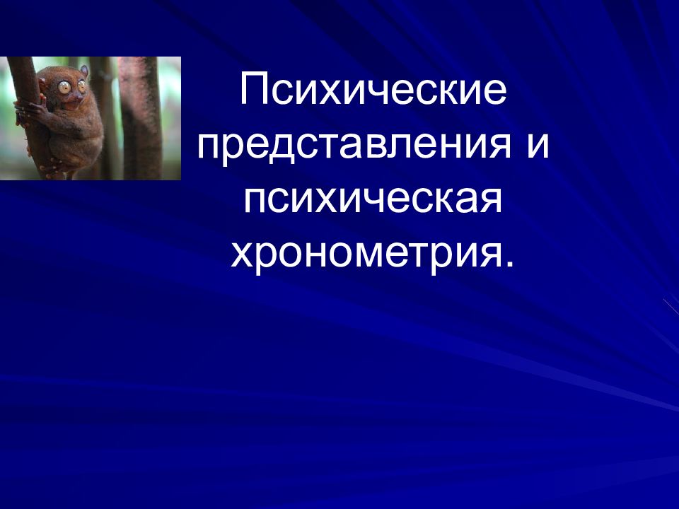 Способности животных. Представление о психическом. Психические представления врача. Функции и способности животных.