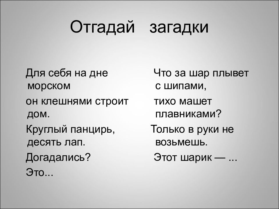 Араеш загадки геншин. Отгадай загадку. Угадай загадку. Отгадывание загадок. Отгадай загадку: гордо носит рога. Нипочём ему Пурга..