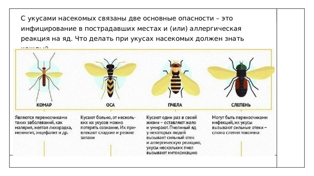 Первая помощь при укусах насекомых презентация