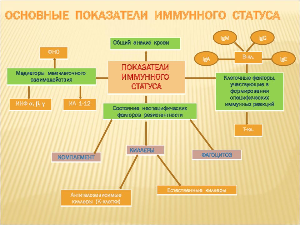 Овин иммунология презентация