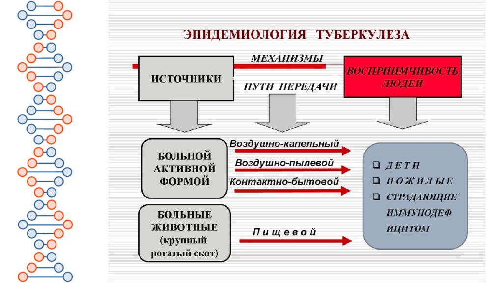 Общая вирусология презентация микробиология