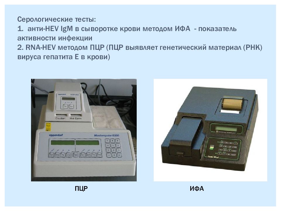 Сыворотка крови методом ифа