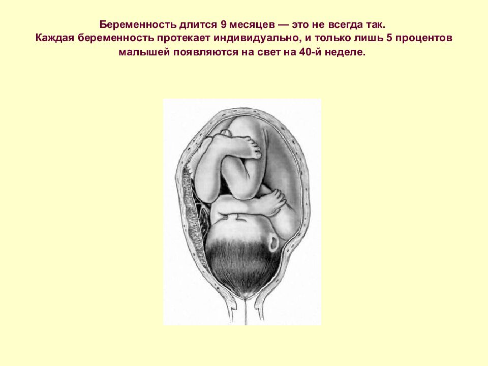 Беременность длится 9 месяцев. Исследование трупа новорожденного. Внутреннее исследование трупов новорожденных. Беременность длится. Особенности исследования трупа плода новорожденного.