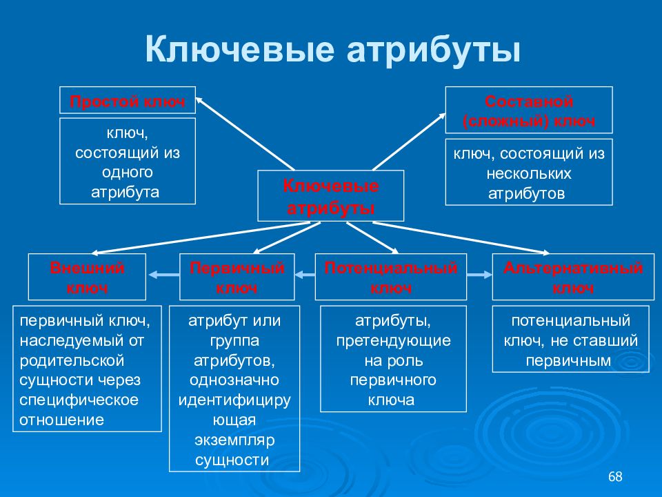 Государственными атрибутами является. Ключевые атрибуты сущности. Ключевой атрибут. Сущности атрибуты ключи. Атрибуты в информатике примеры.