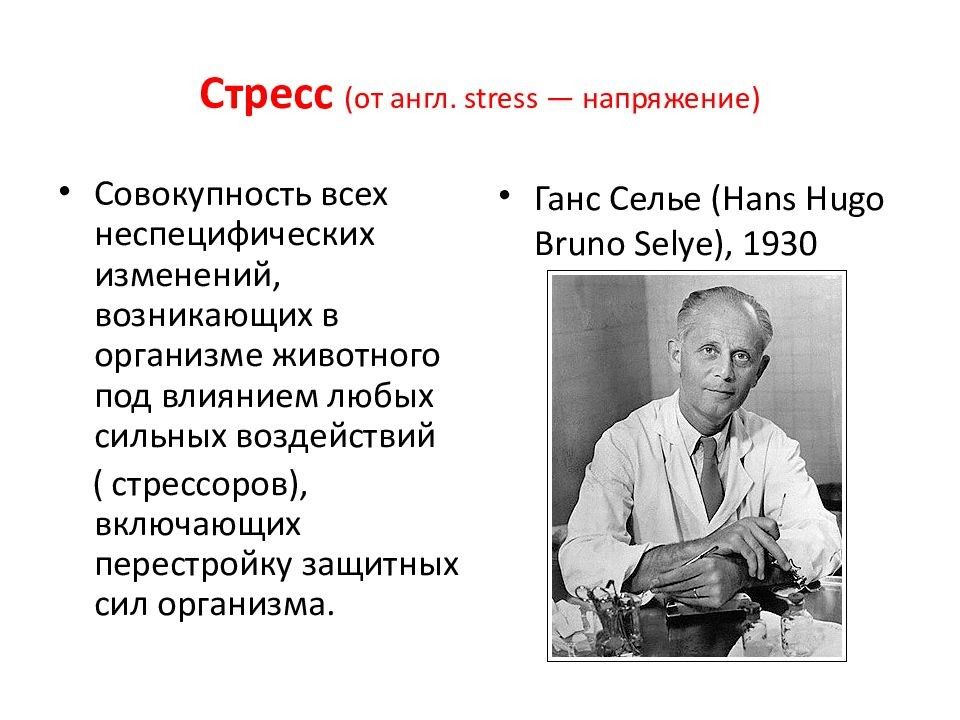 Теория стресса ганса селье презентация