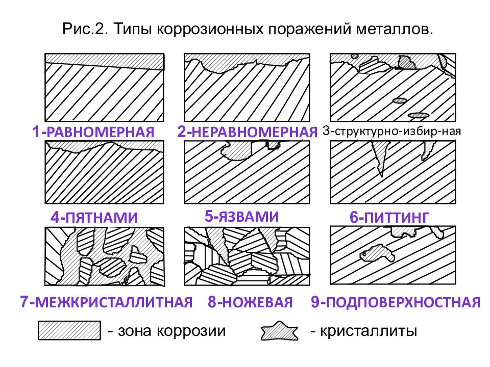 Виды коррозии схема