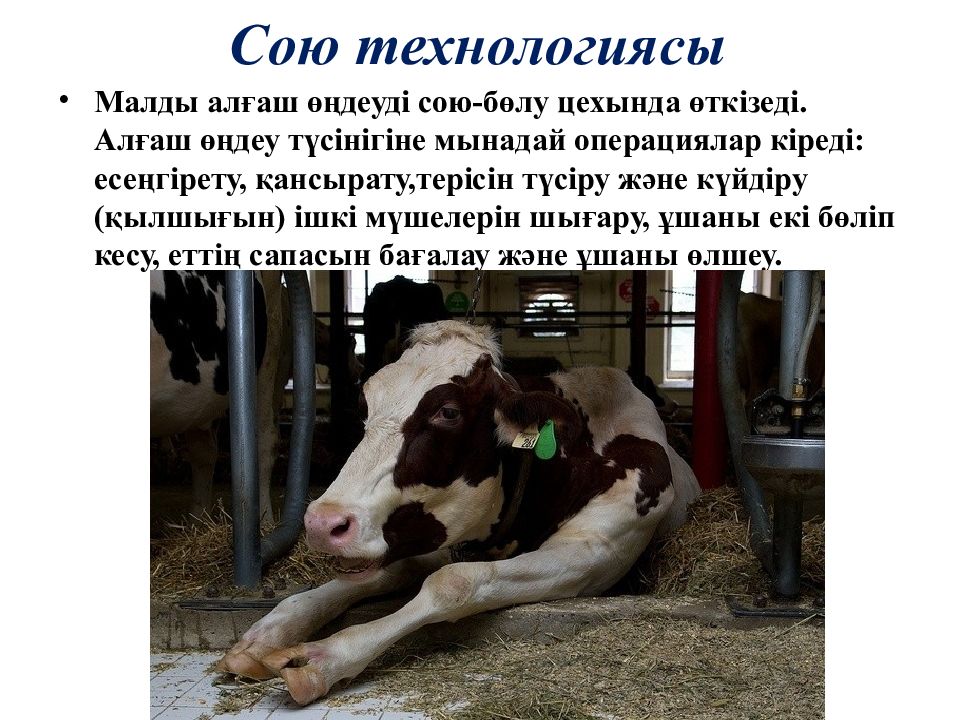 Соя зерно. Кузлэрендэ сою. Шигырь на татарском языке. Кузлэрендэ сою. Соя техническая культура.