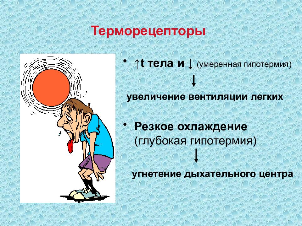 Дыхание задачи. Терморецепторы. Терморецепция физиология. Терморецепторы картинки. Расположение терморецепторов.