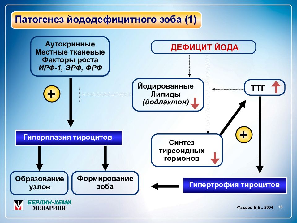 Гипотиреоз презентация патофизиология