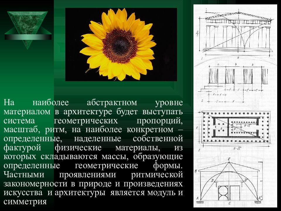 Примеры влияния на архитектуру. Масштаб в архитектуре. Масштаб и масштабность в архитектуре. Пропорции в архитектурной композиции. Масштабность в архитектуре презентация.