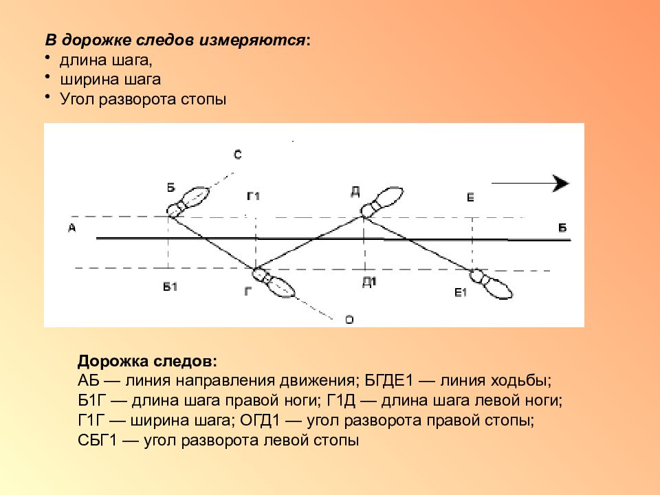 Рисунок дорожки следов обуви