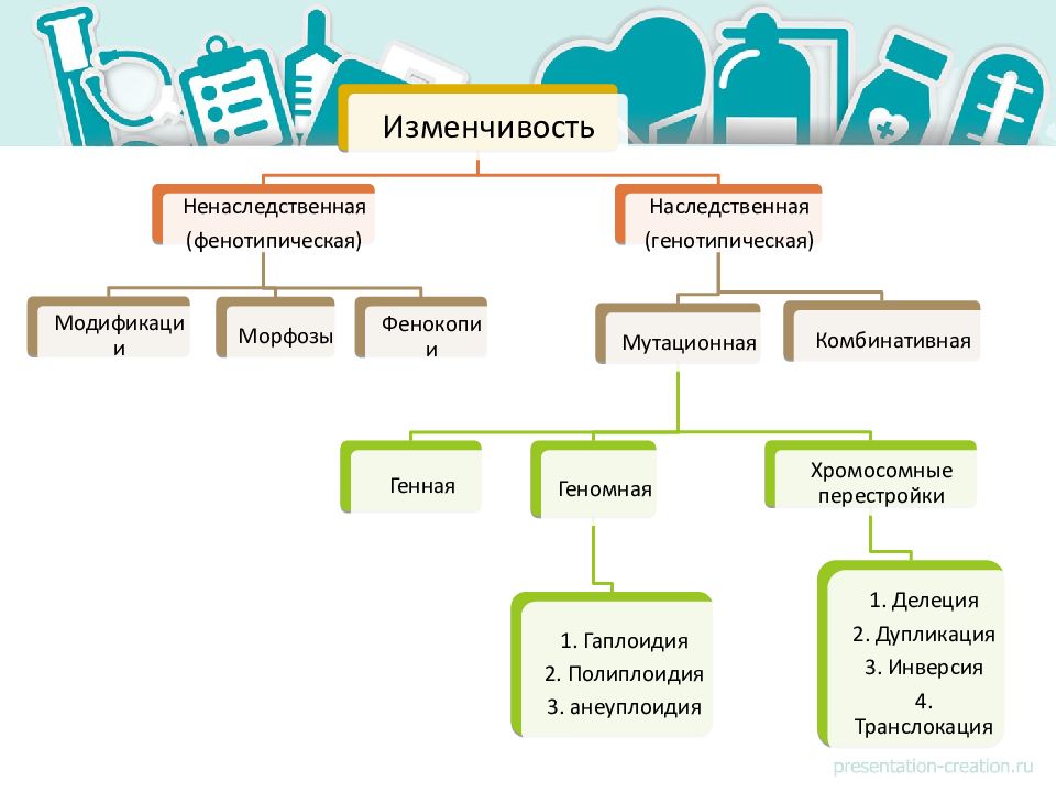 Типы мутационной изменчивости схема