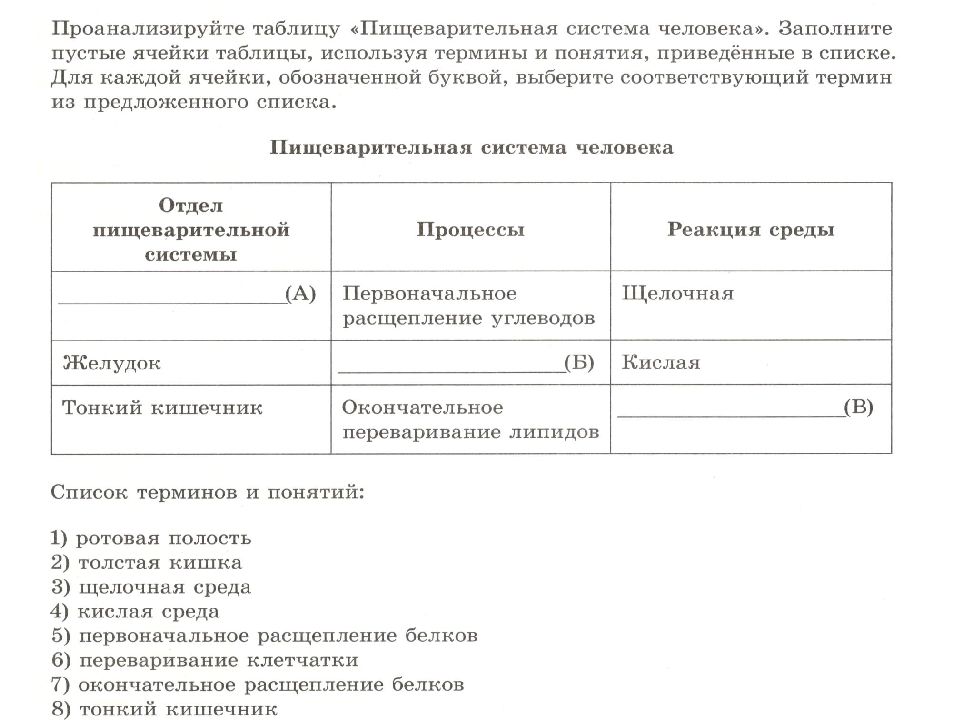 Заполните 2 пустые ячейки. Проанализируйте таблицу. Проанализируйте таблицу заполните пустые ячейки. Проанализируйте таблицу пищеварительной системы человека. Проанализируйте таблицу пищеварение в тонком кишечнике человека.