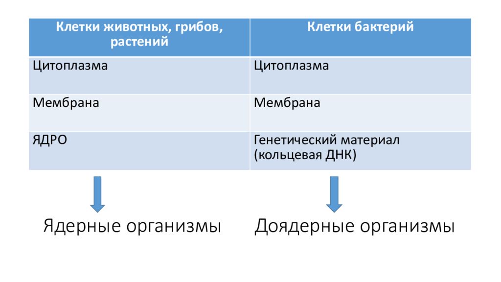 Ядерные организмы