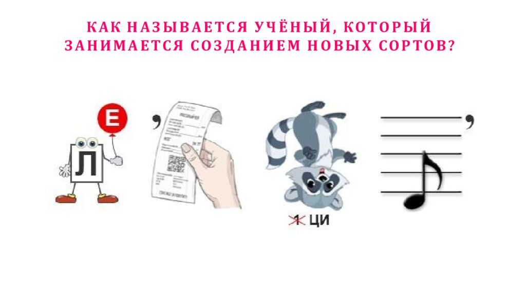 КАК НАЗЫВАЕТСЯ УЧЁНЫЙ, КОТОРЫЙ ЗАНИМАЕТСЯ СОЗДАНИЕМ НОВЫХ СОРТОВ?