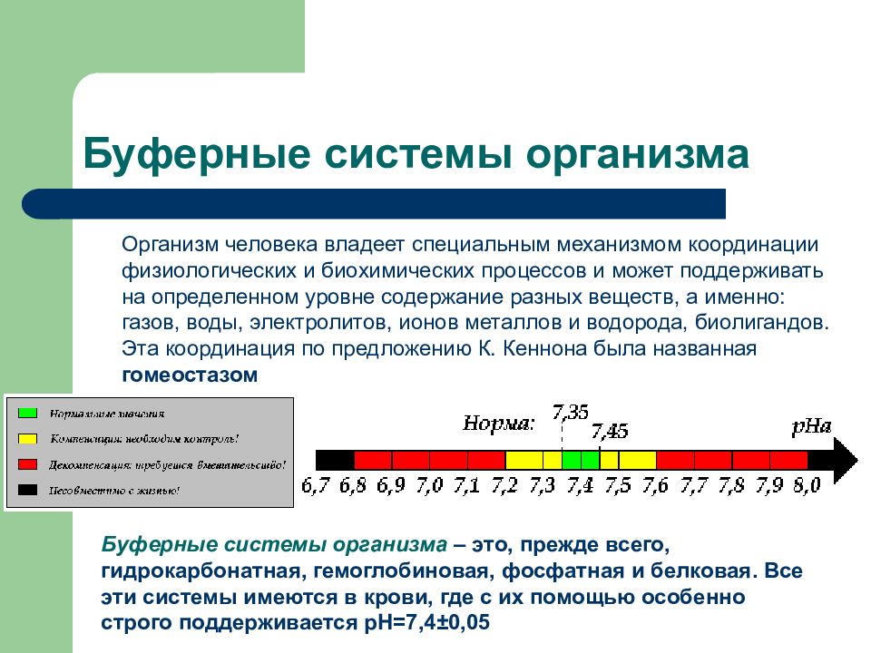 Презентация буферные системы