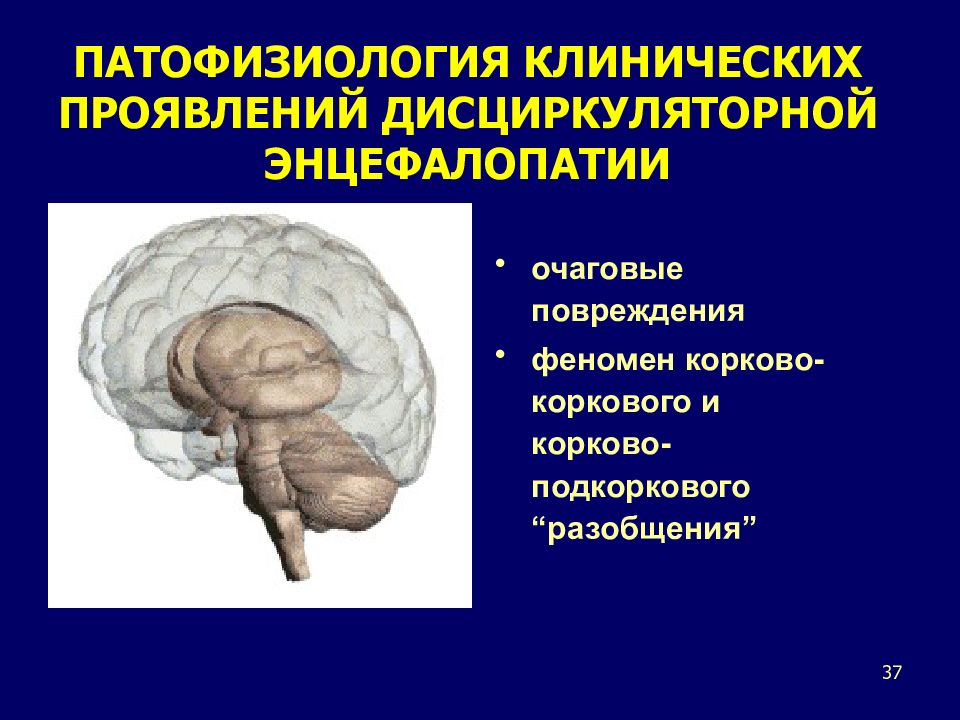 Энцефалопатия пожилых людей симптомы. Дисциркуляторная энцефалопатия деменция. Энцелофапатия головного мозга. Энцефалопатия с когнитивными нарушениями. Энцефалопатия симптомы.