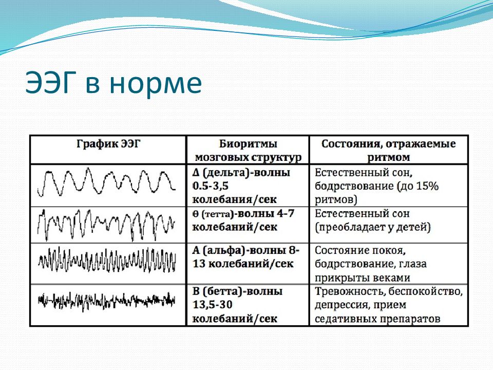 Биоритмы мозга презентация