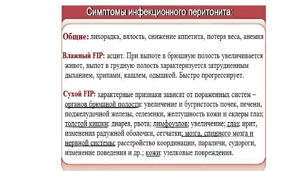 Перитонит что это симптомы у взрослого