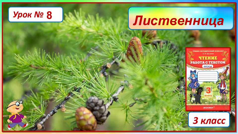 3 класс Урок № 8 Лиственница