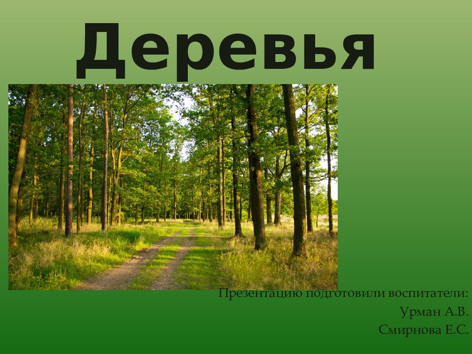 Деревья