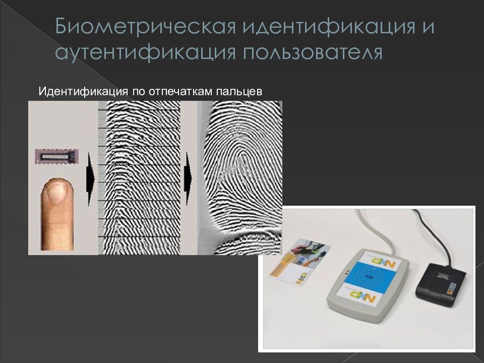 Биометрия что это. Идентификация по отпечатку. Идентификация по отпечатку пальца. Биометрическая идентификация и аутентификация. Биометрические средства идентификации.