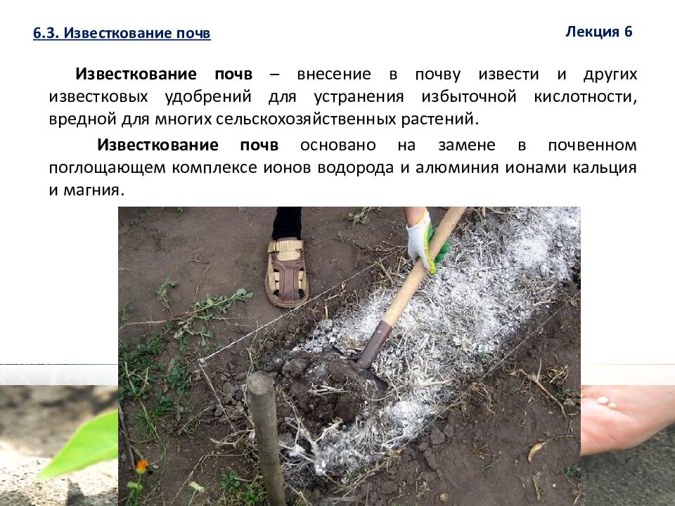 1 ЛЕКЦИЯ №6. Химическая мелиорация земель