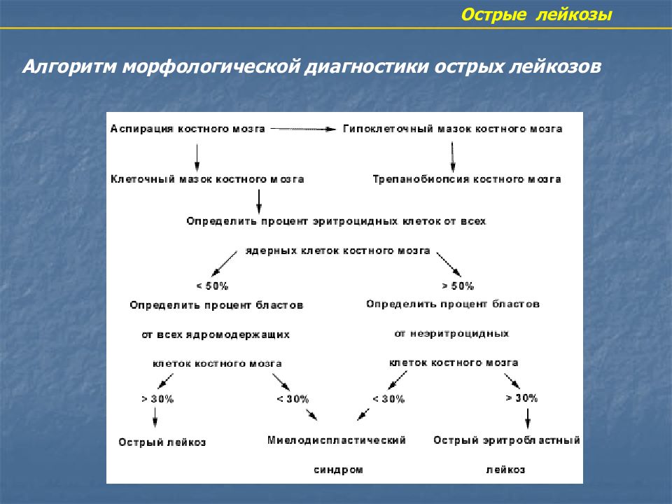 Диагностика лейкоза. Схема патогенеза острого лейкоза. Патогенез лейкоза схема. Алгоритм диагностики лейкозов. Острый лейкоз алгоритм.