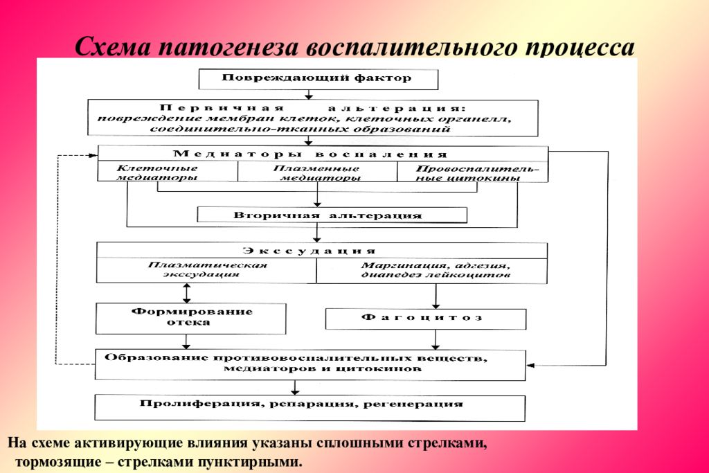 Патогенез признаков воспаления. Схема патогенеза хронического воспаления. Патогенез воспаления схема. Механизм развития хронического воспаления. Схема развития воспалительного процесса.