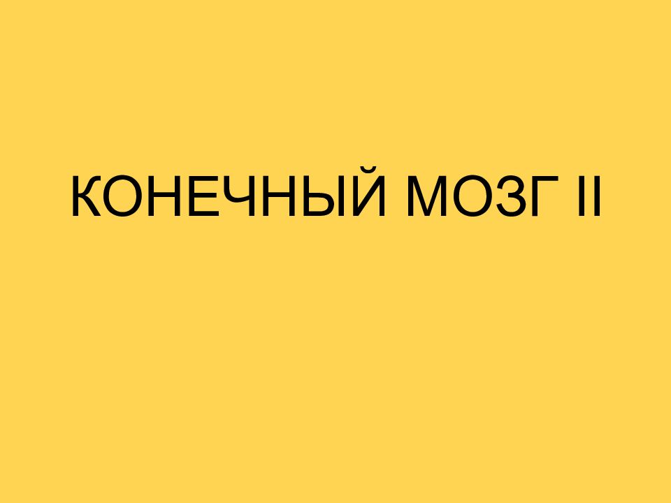 КОНЕЧНЫЙ МОЗГ II