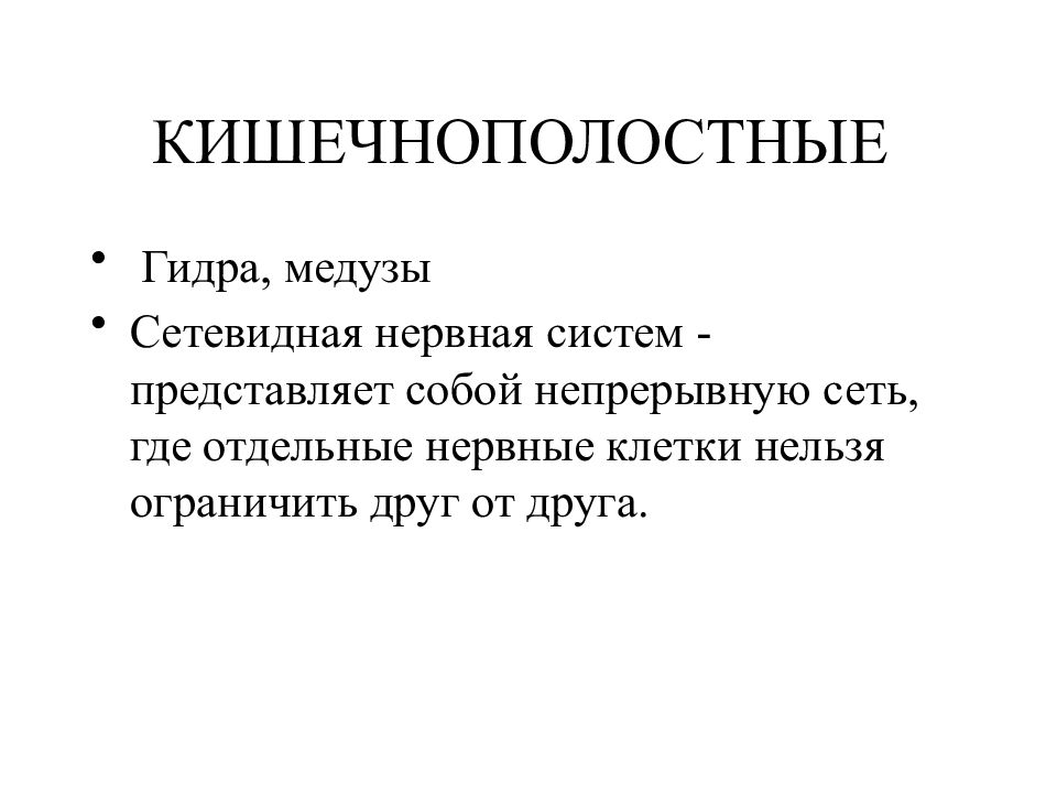 Непрерывная сеть. Лекции невропатологии. Сетевидная нервная система. Невропатология. Сетевидный