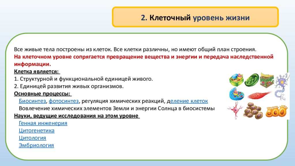 Клеточный уровень система. Клеточный уровень. Значение клеточного уровня. Клеточный уровень организации жизни. Значение клеточного уровня организации.