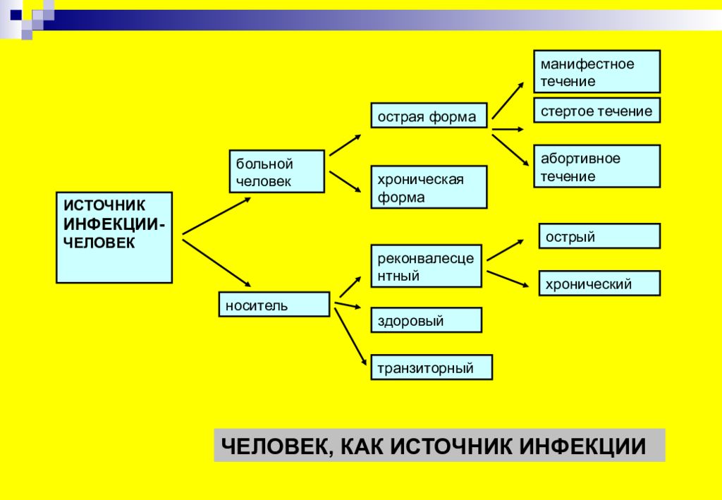 Эпидемический процесс презентация