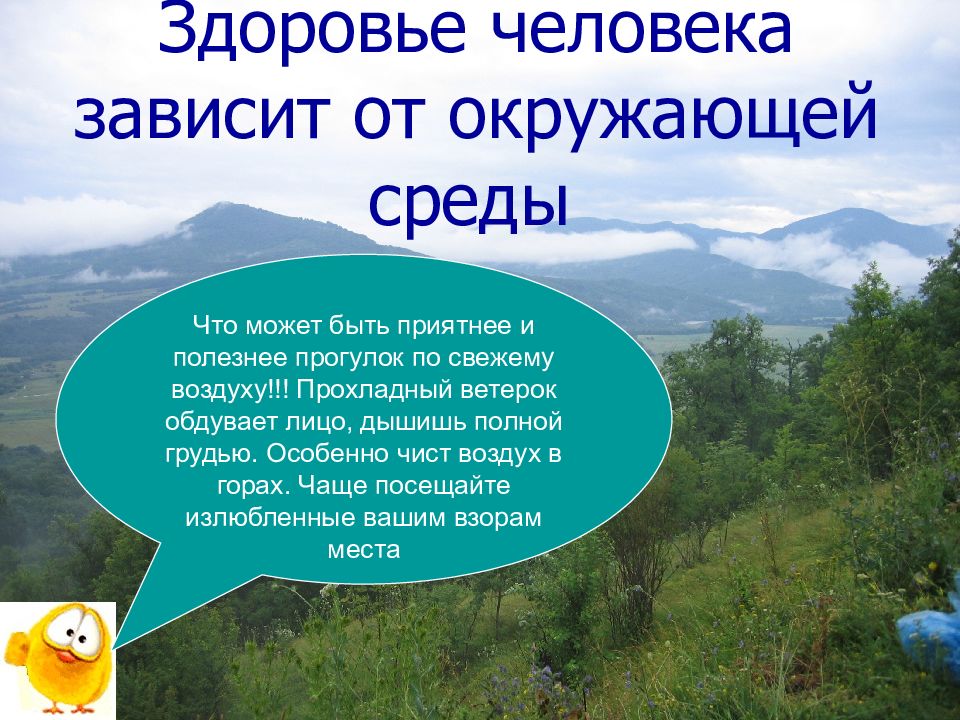 Прохладный воздух. Здоровье человека зависит. Здоровый человек зависит от окружающей среды что может быть приятнее. Здоровье человека на 50 зависит от. Чем полезен воздух гор.