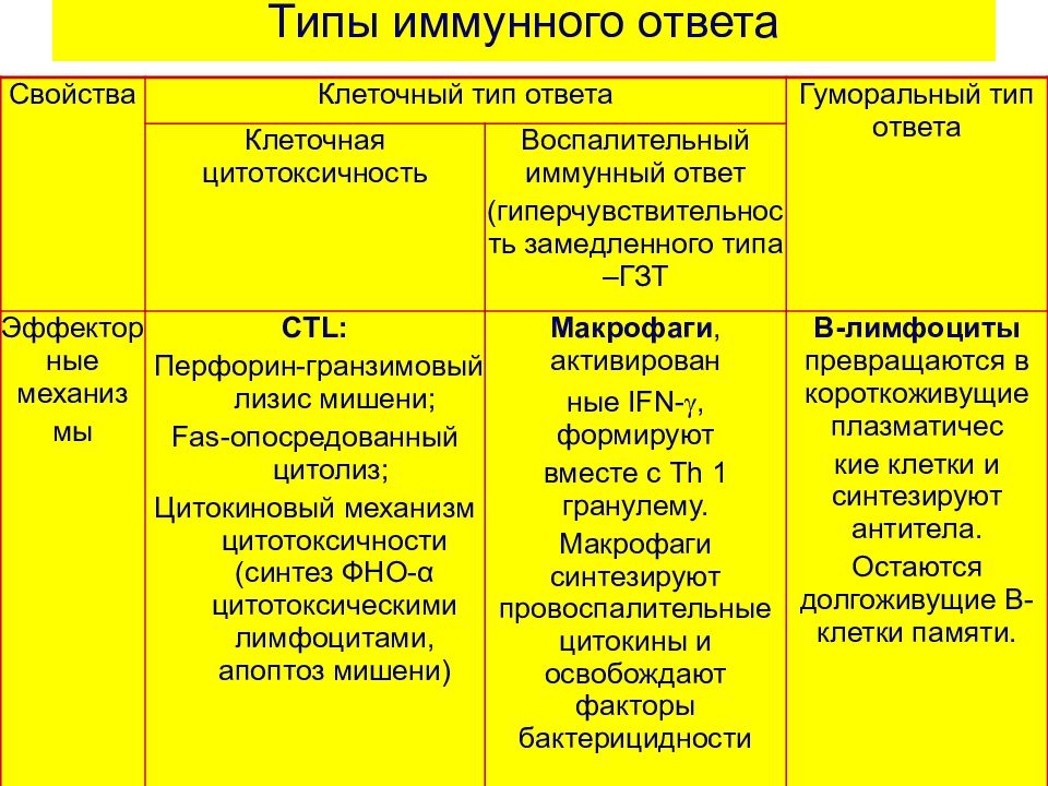 Презентация клеточный иммунный ответ