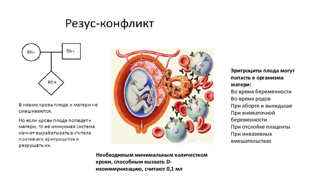 Резус несовместимость матери и плода презентация