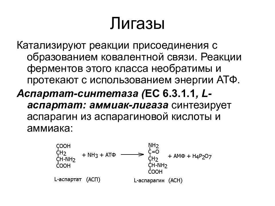 Ферменты реакции примеры