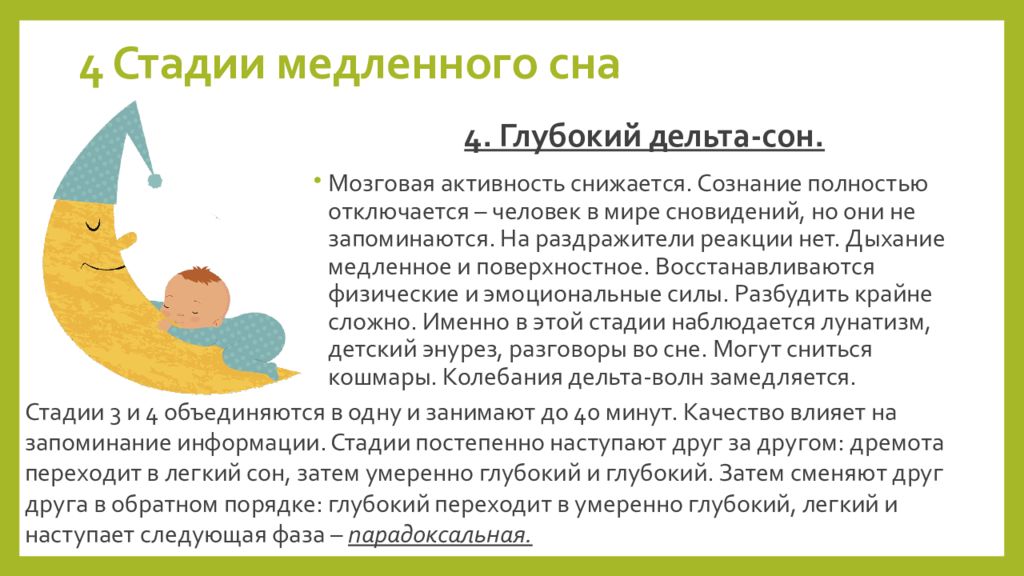 Фаза медленного сна