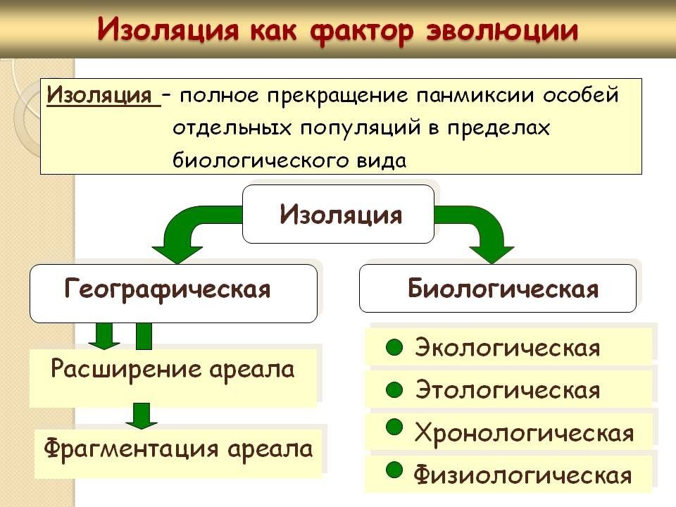 Механизмы эволюции презентация