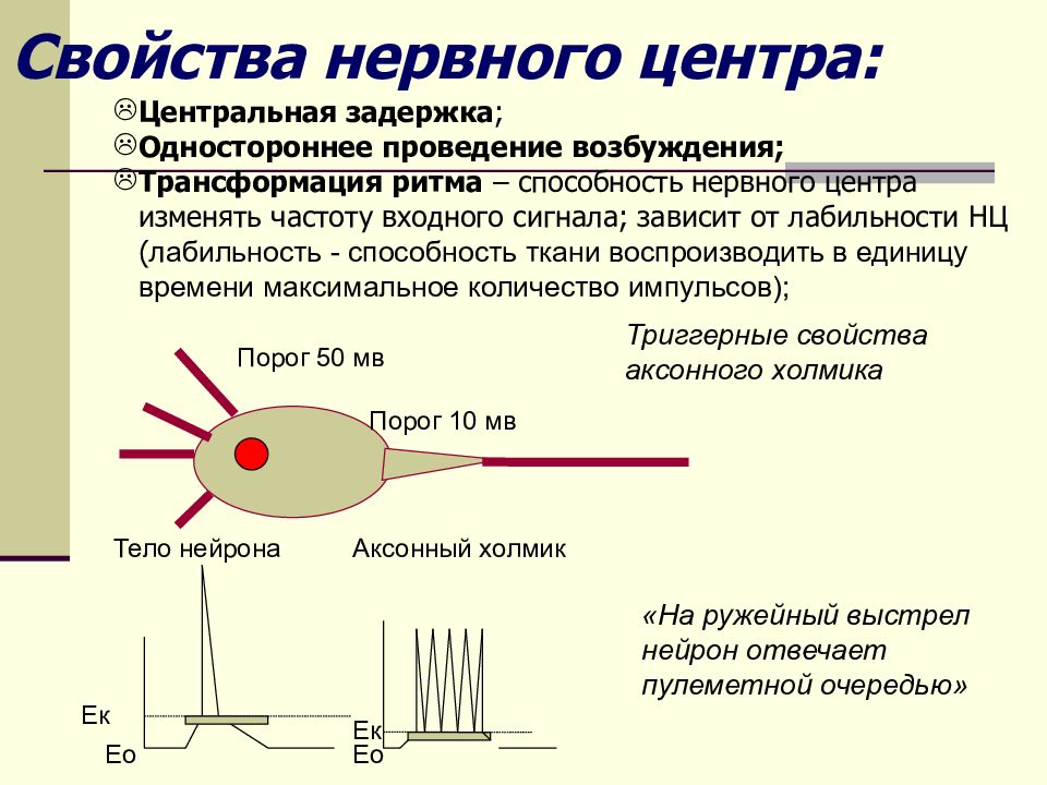 Нервный центр. Условия формирования нервного центра. Свойства нервных центров. Нервный центр это физиология. Строение нервного центра.